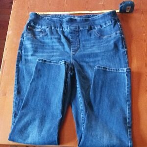 Women's Blue Jeans Jeggings By Chico